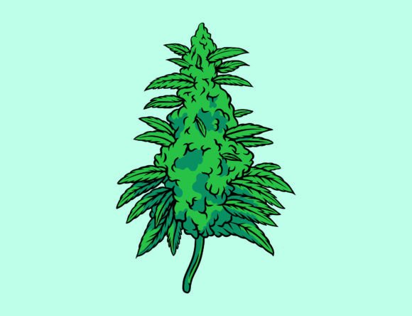 Medical Cannabis Leaf Plant Graphics